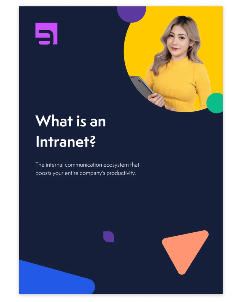 What is an Intranet