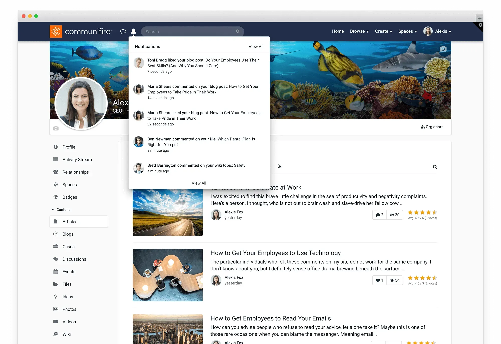 Notifications & Alerts