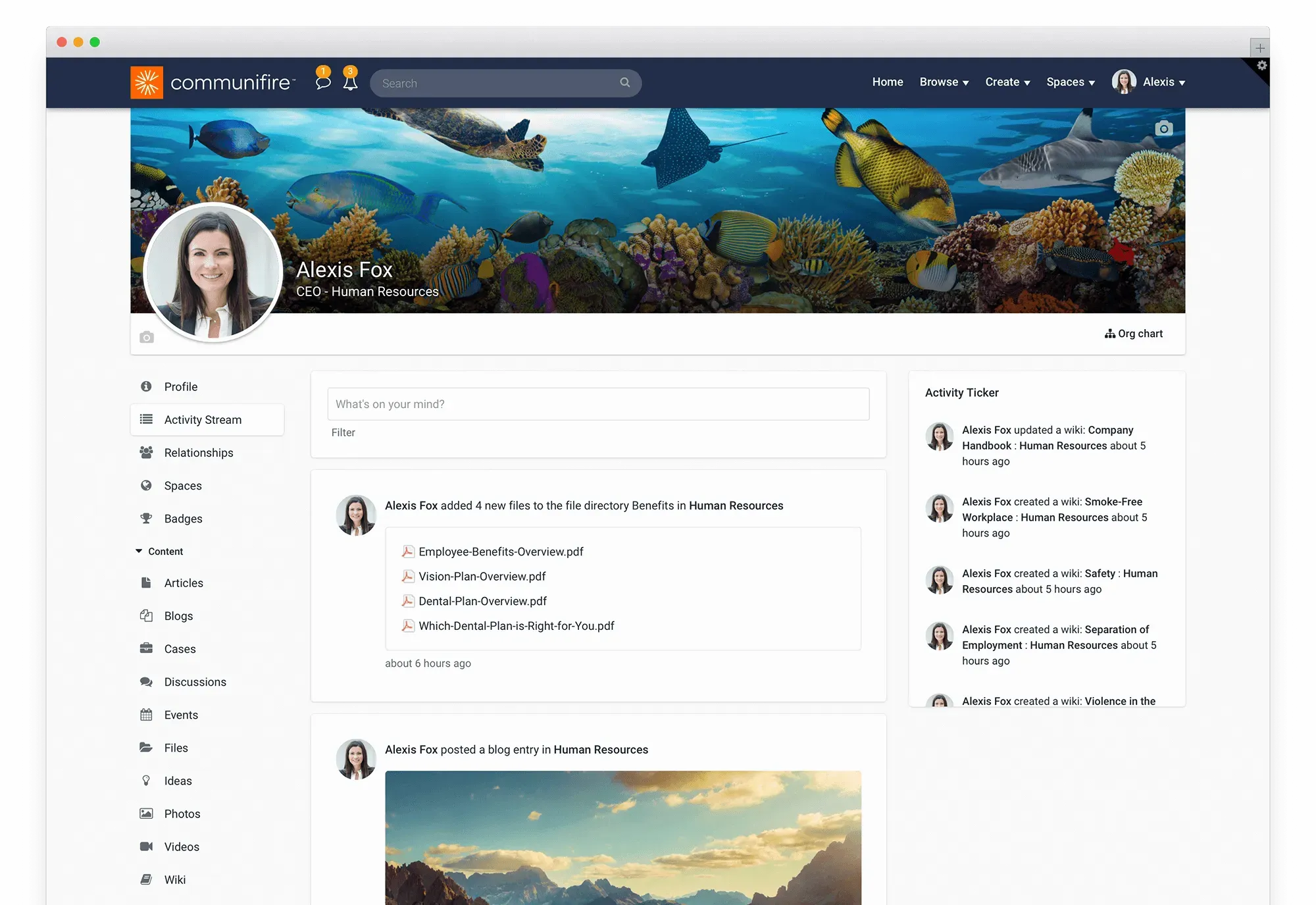 Employee activity stream showing posts, comments, and shared content.