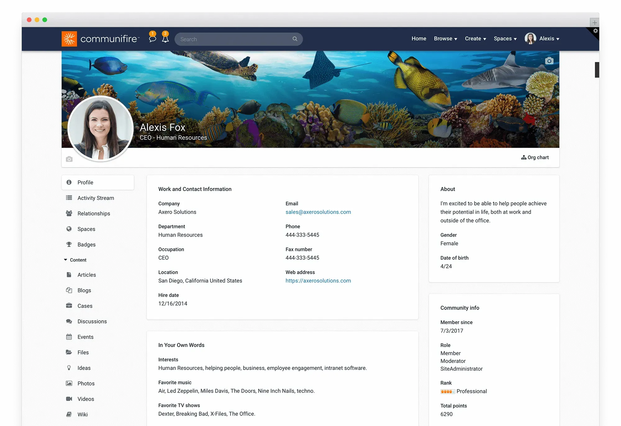 Rich employee profile with photo, role, skills, and contact details.