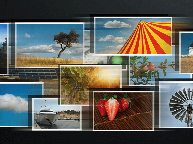 5 Ways You Can Use Photo Gallery Software on Your Intranet