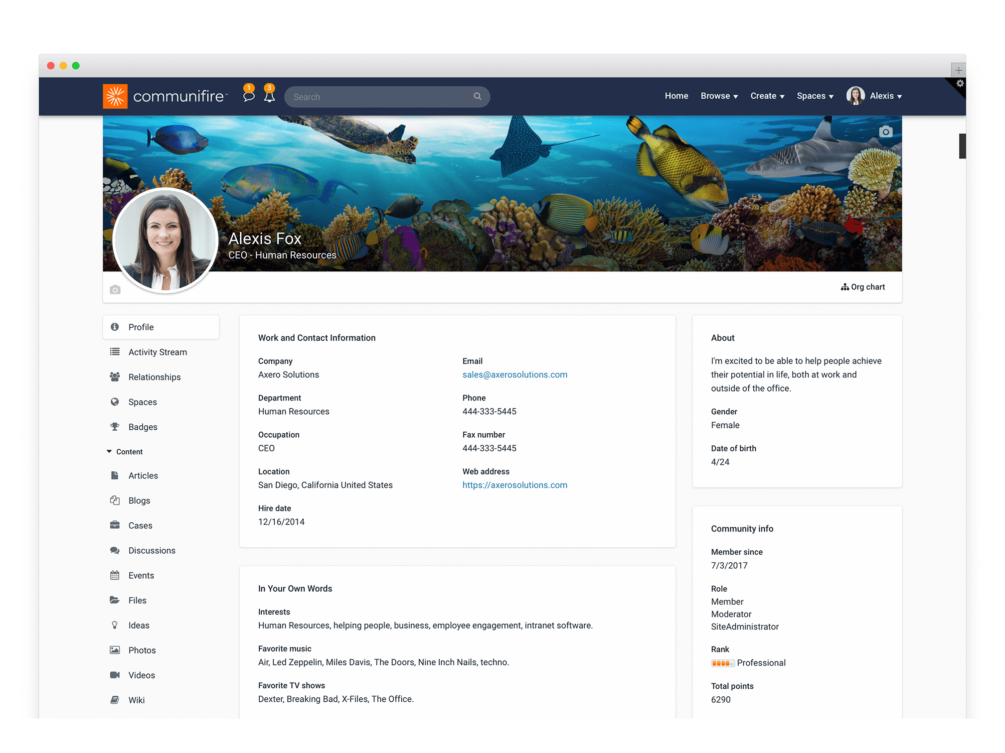 company intranet design - employee profiles
