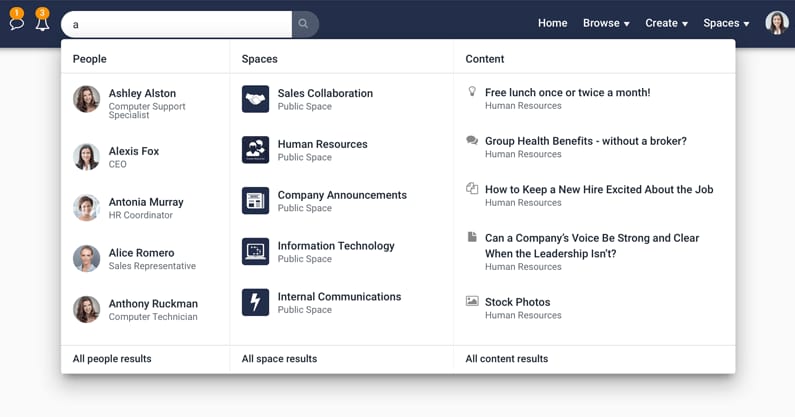 intranet homepage - search