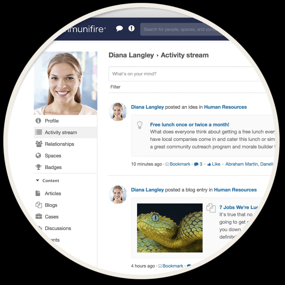 successful intranet - employee profiles