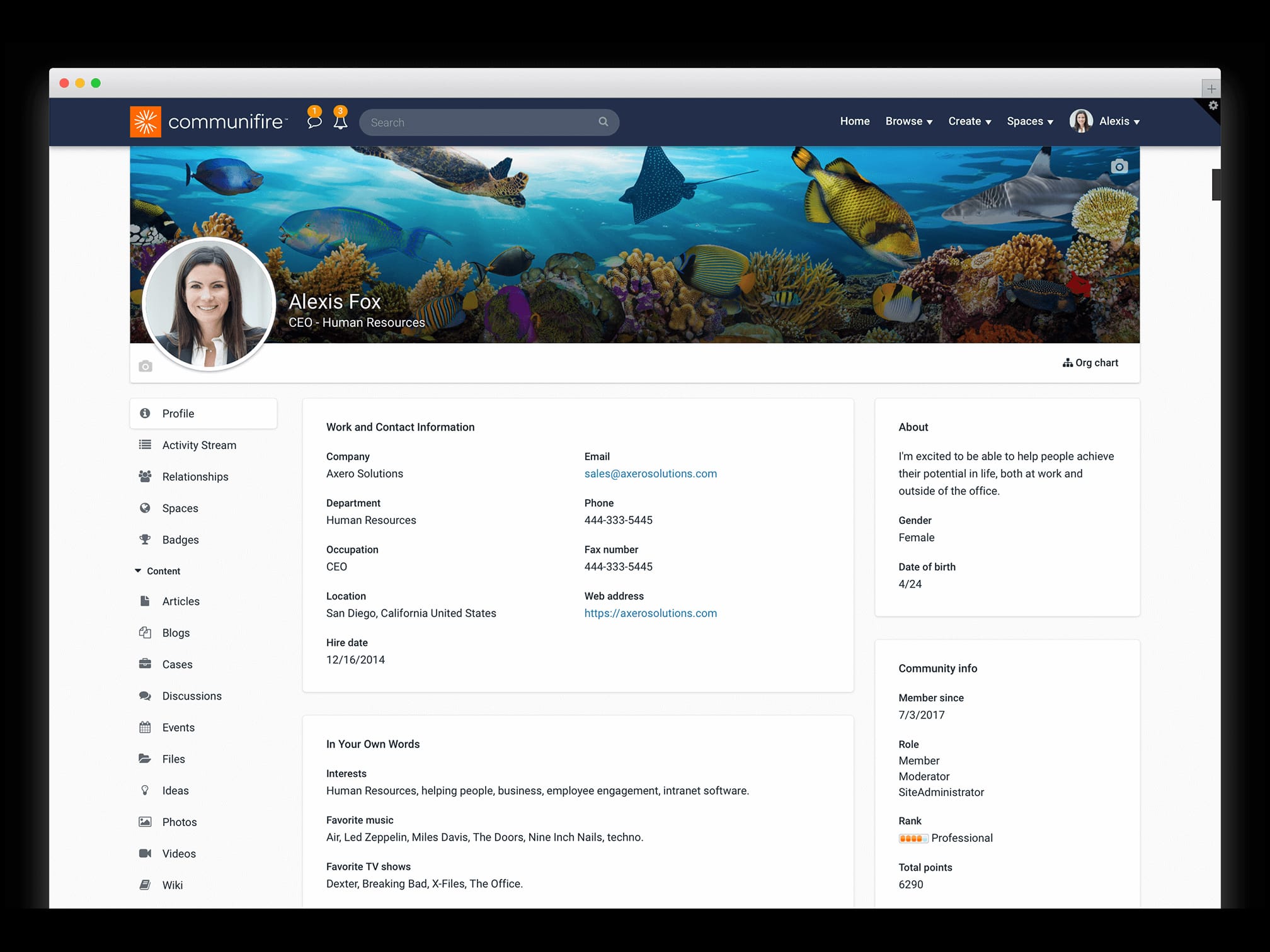 company intranet design - employee profiles