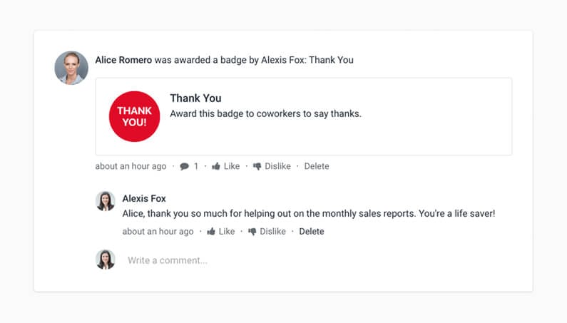 Intranet Employee Recognition Badges