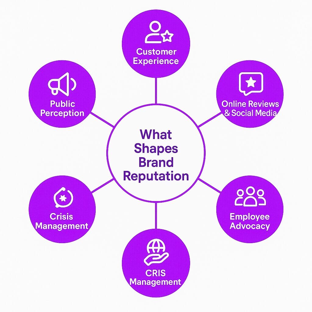 What Shapes Brand Reputation