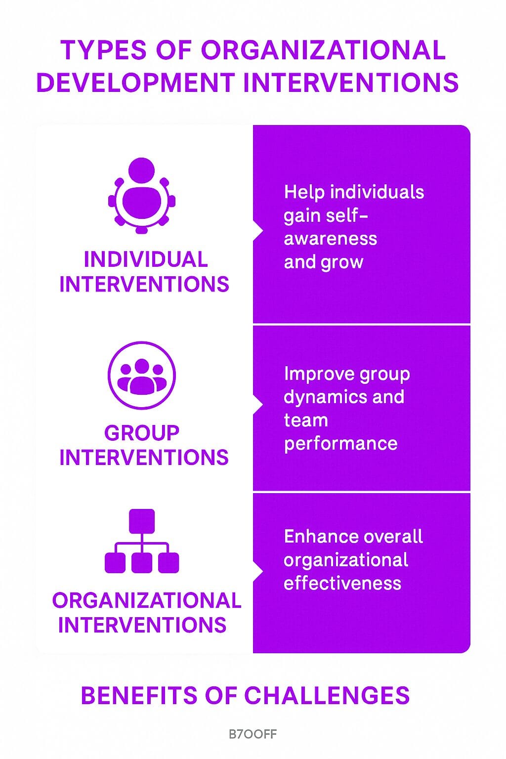 Organizational Development Interventions