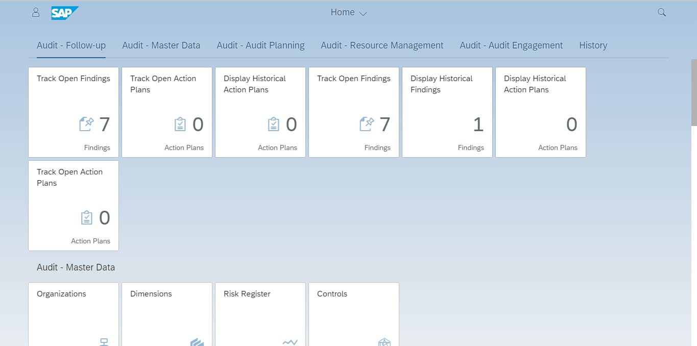 SAP Audit Management