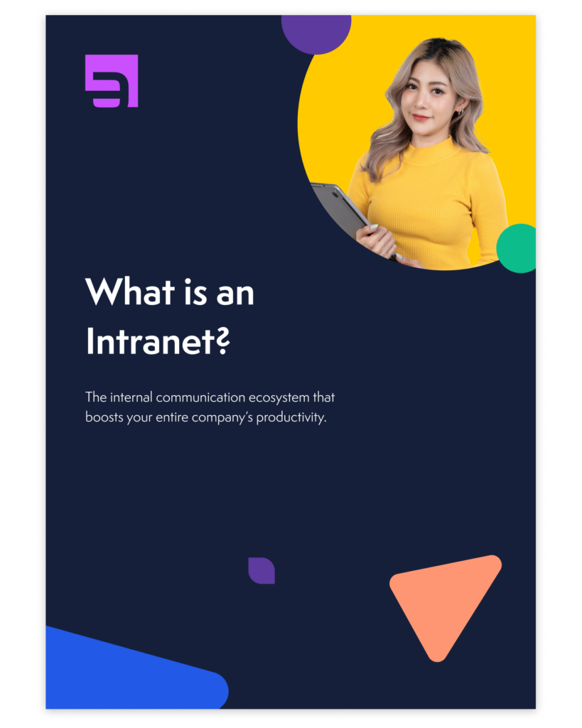 What is an Intranet